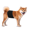 KUTKUT Diapers for Male Dogs (Black) Dogs-Health & Wellness KUTKUT Dropship