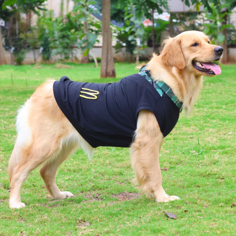 Pet Set Go Polo Knit T-shirt for Dogs (Black)