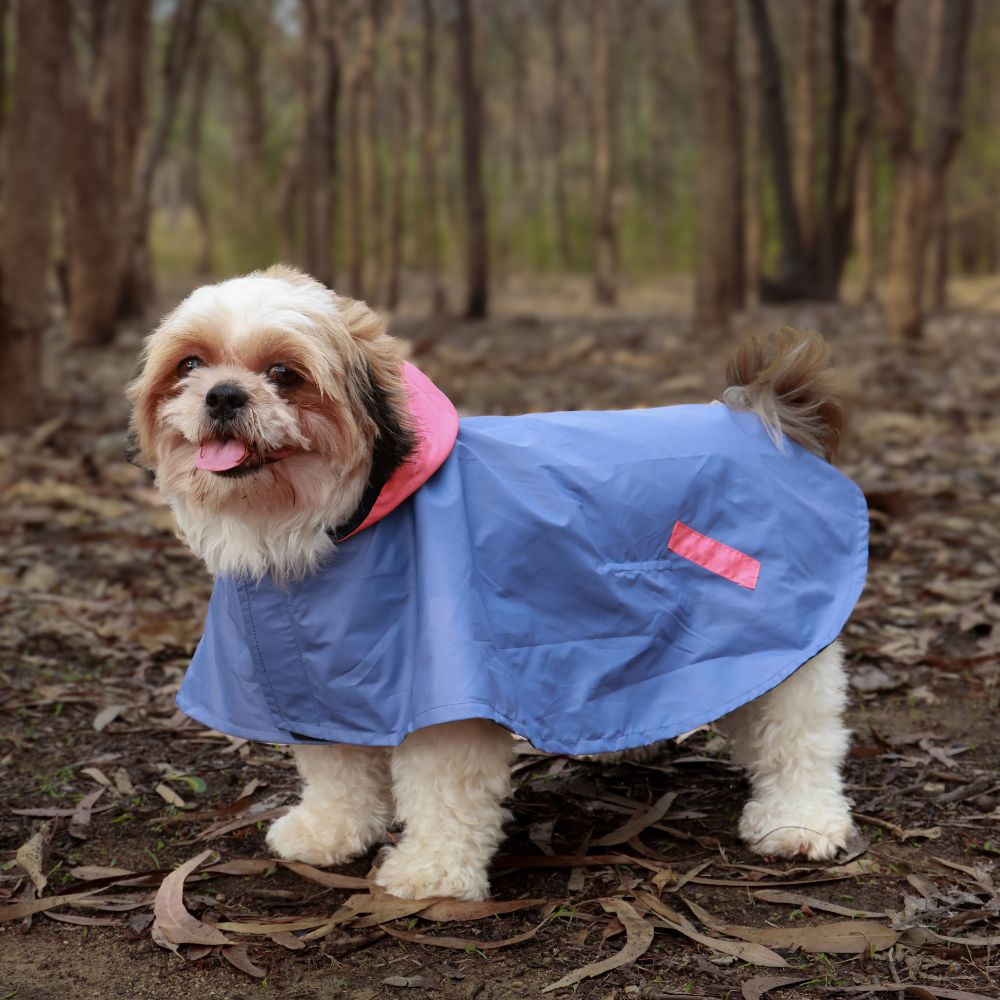 Pet Set Go Dual Colour Cape Style Raincoat for Dogs (Purple) Dogs-Clothing & Accessories Pet Set Go 4XL