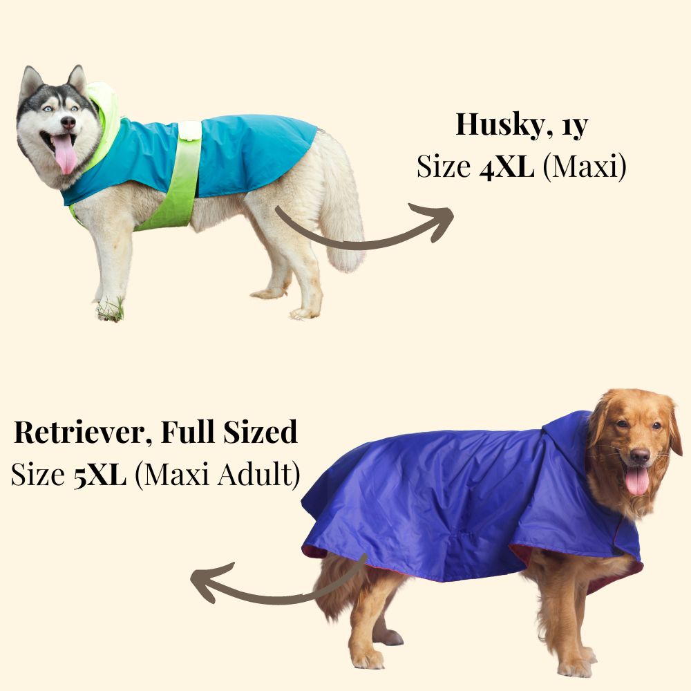 Pet Set Go Dual Colour Cape Style Raincoat for Dogs (Purple) Dogs-Clothing & Accessories Pet Set Go