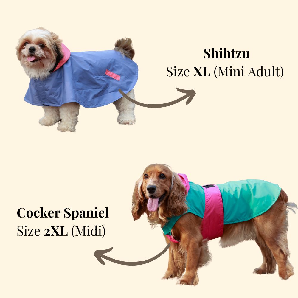 Pet Set Go Dual Colour Cape Style Raincoat for Dogs (Purple) Dogs-Clothing & Accessories Pet Set Go