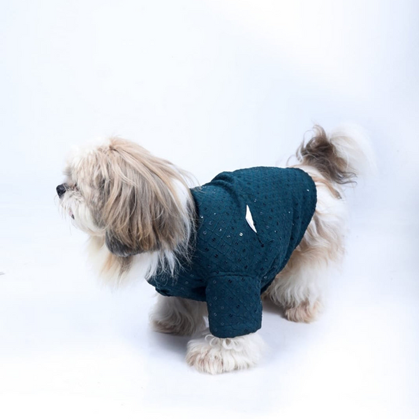 15 Furries Sherwani for Dogs (Blue)