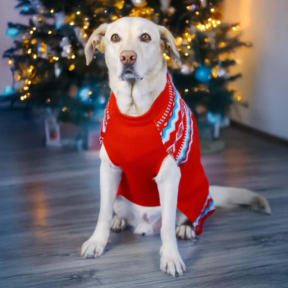 Dogobow Aztec Knit Sweater for Dogs and Cats (Red) (Get a Bow Free) Both-Clothing & Accessories Dogobow Dropship XS