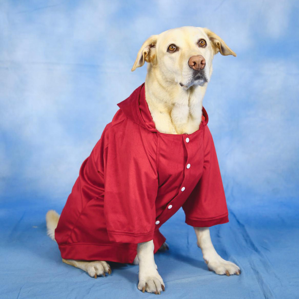 Dogobow Dino Hoodie for Dogs and Cats (Red) (Get a Bow Free)