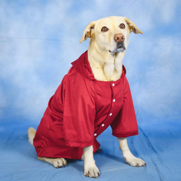 Dogobow Dino Hoodie for Dogs and Cats (Red) (Get a Bow Free)