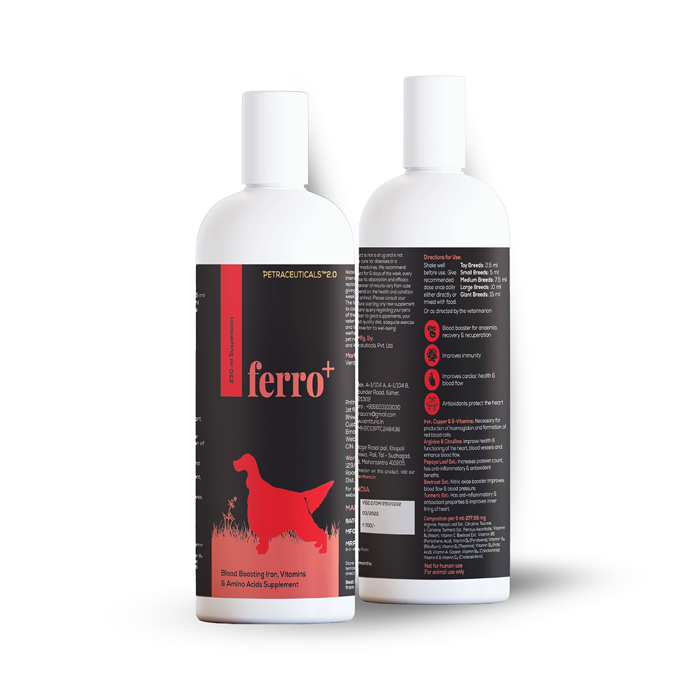 Venttura Ferro Plus Iron Supplements Syrup for Dogs Both-Health & Wellness Venttura