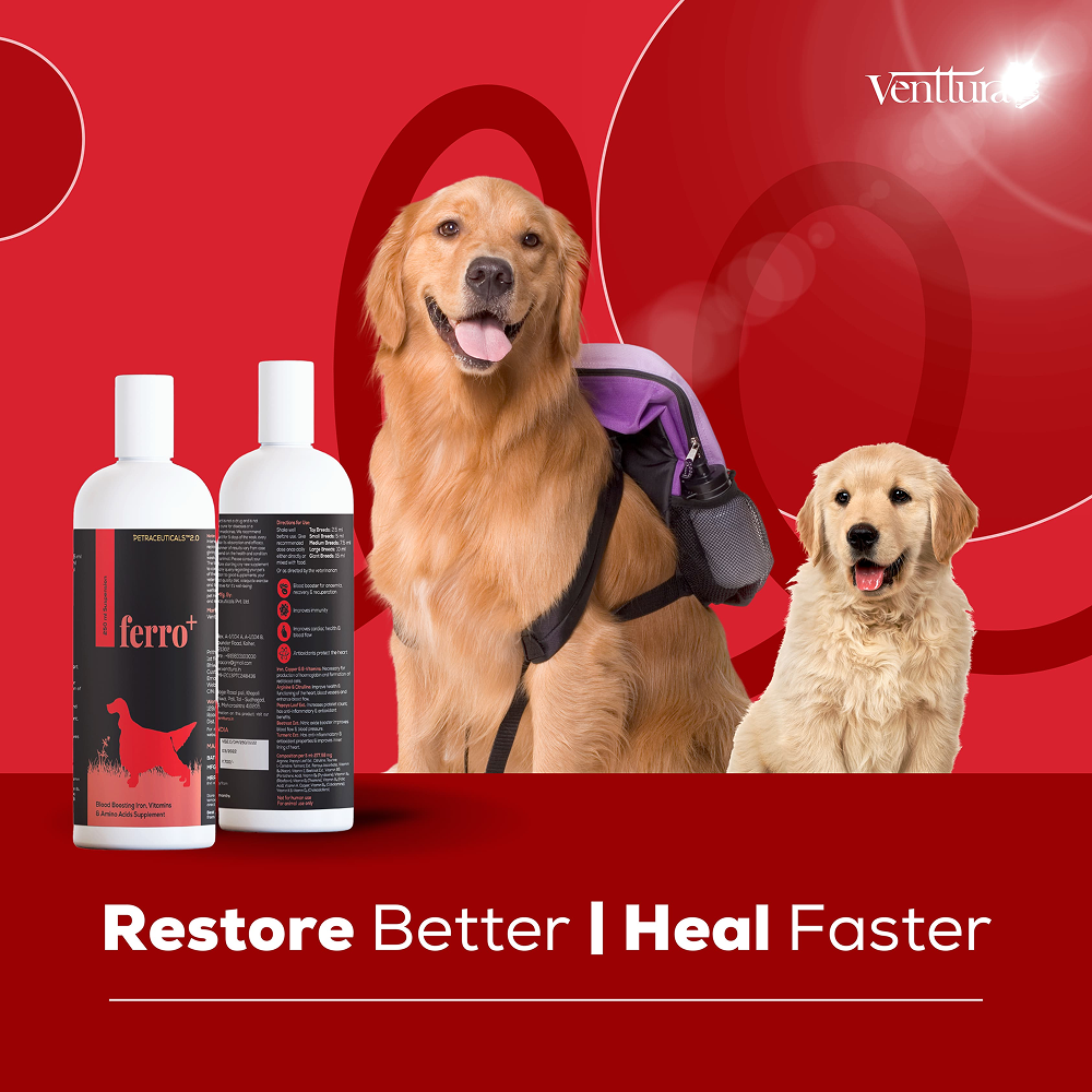 Venttura Ferro Plus Iron Supplements Syrup for Dogs Both-Health & Wellness Venttura