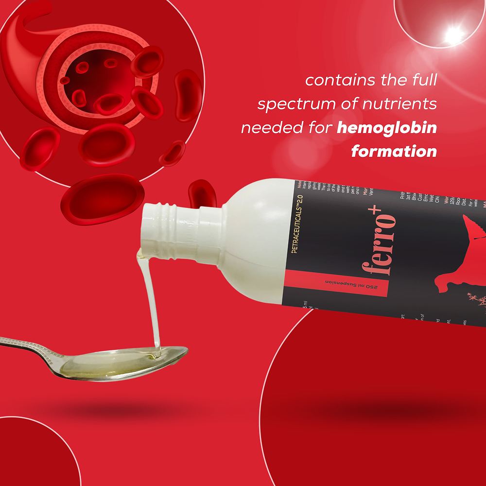 Venttura Ferro Plus Iron Supplements Syrup for Dogs Both-Health & Wellness Venttura