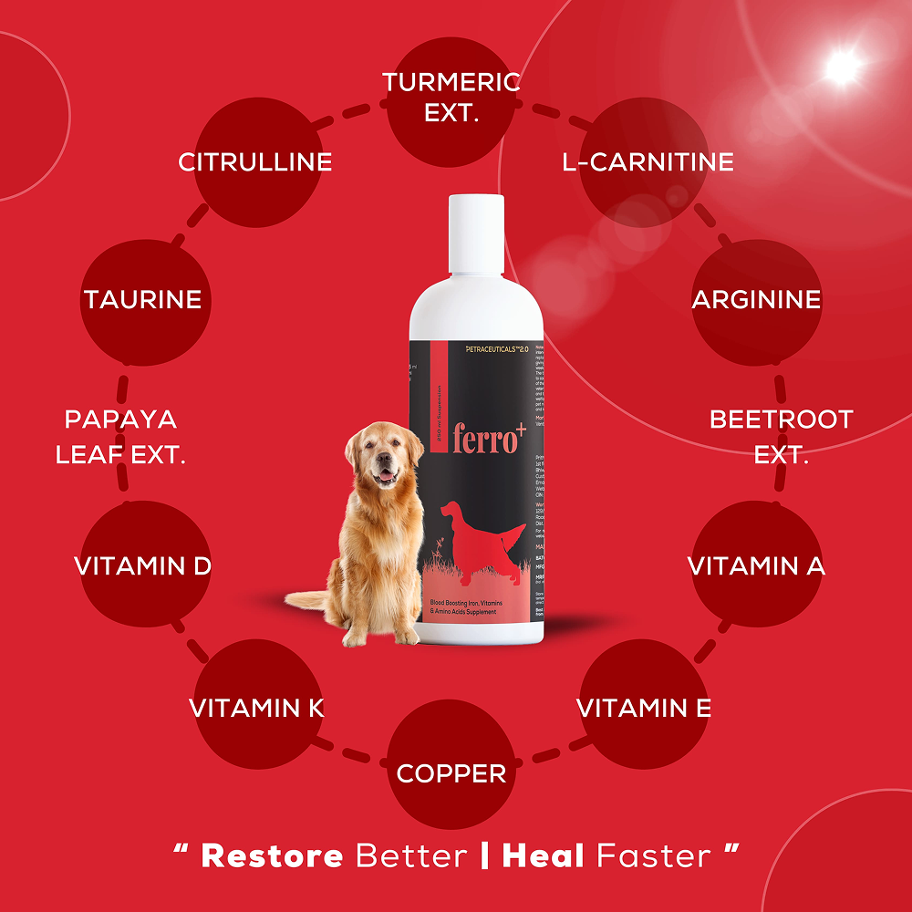 Venttura Ferro Plus Iron Supplements Syrup for Dogs Both-Health & Wellness Venttura