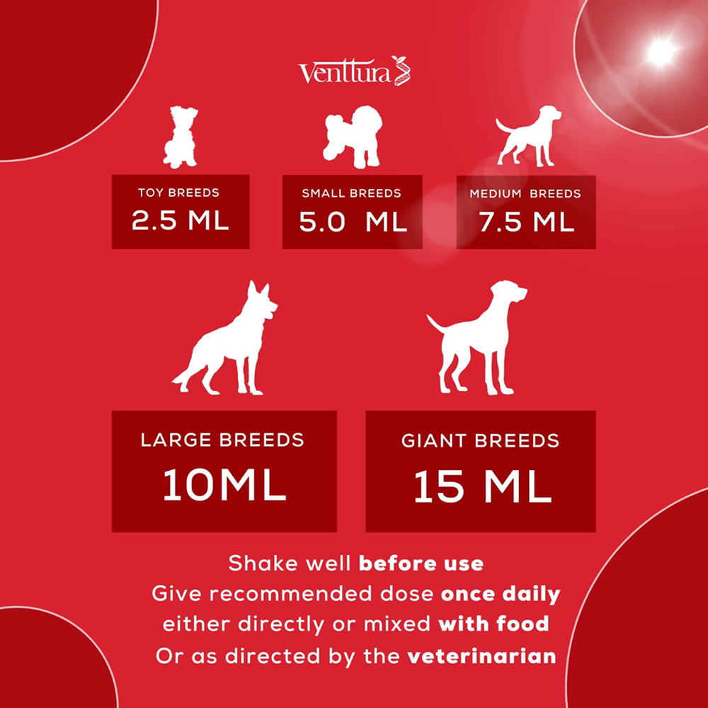 Venttura Ferro Plus Iron Supplements Syrup for Dogs Both-Health & Wellness Venttura