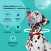 Venttura Omega 3 Plus Skin & Coat with Amino Plus Syrup for Dogs Both-Health & Wellness Venttura