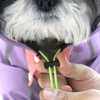 Dogobow Bubble&