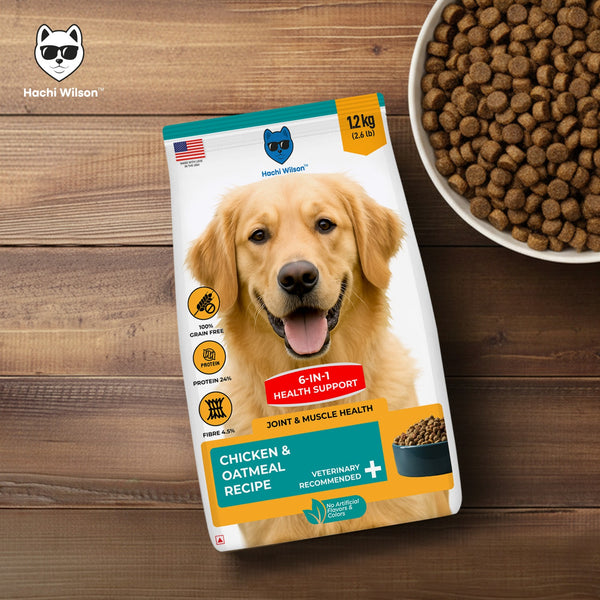 Hachi Wilson Premium Chicken & Oatmeal Dog Dry Food