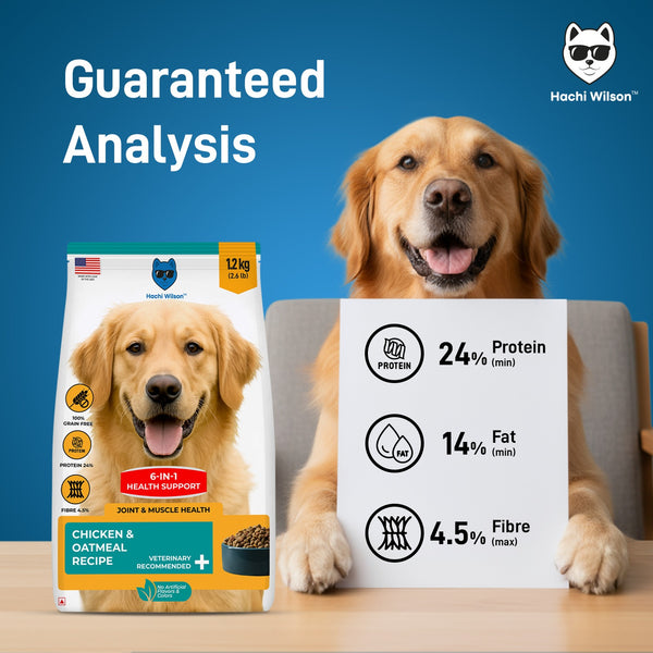 Hachi Wilson Premium Chicken & Oatmeal Dog Dry Food