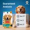 Hachi Wilson Premium Chicken & Oatmeal Dog Dry Food Dogs- Dry Food Hachi Wilson