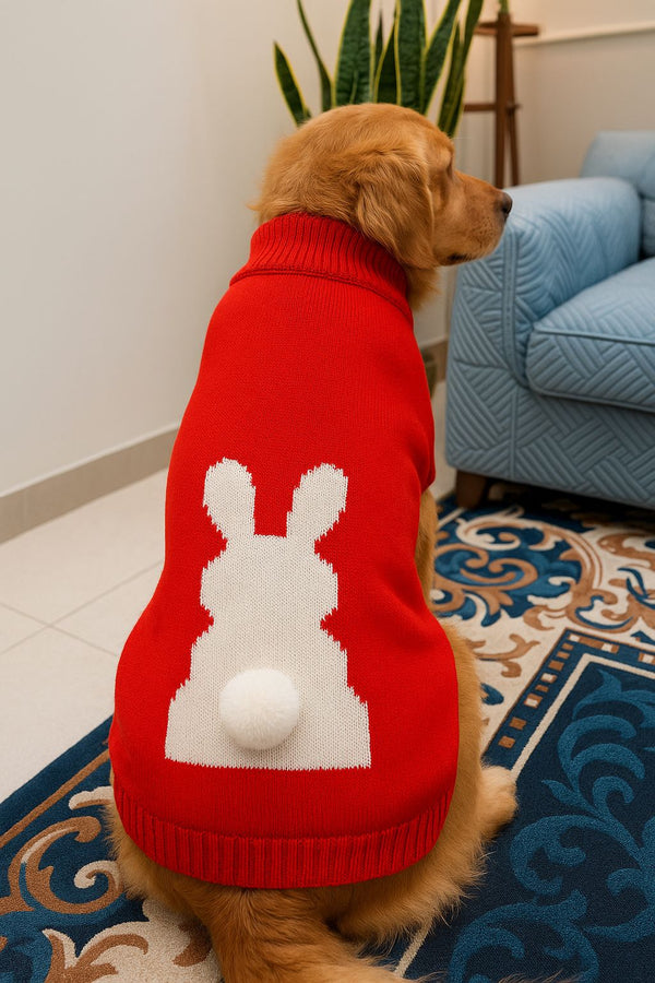15 Furries Honey Bunny Sweater for Dogs (Red)