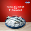 Drools Fish and Rice Adult Dog Dry Food Dogs- Dry Food Drools
