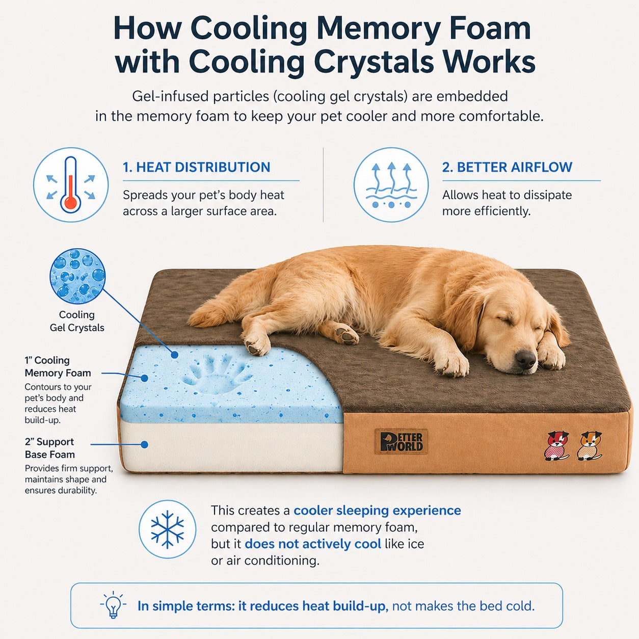 Petter World Orthopedic Memory Foam Bed With Large Sleep Surface for Dogs (Mocha Brown) Both-Bedding, Mats & Travel Supplies Petter World Dropship
