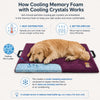 Petter World Orthopedic Memory Foam Base with Cooling Gel Summer Mat for Dogs and Cats (Mulled Wine) Both-Bedding, Mats & Travel Supplies Petter World Dropship