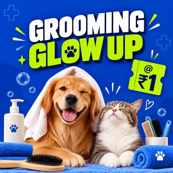 Grooming Glow Up