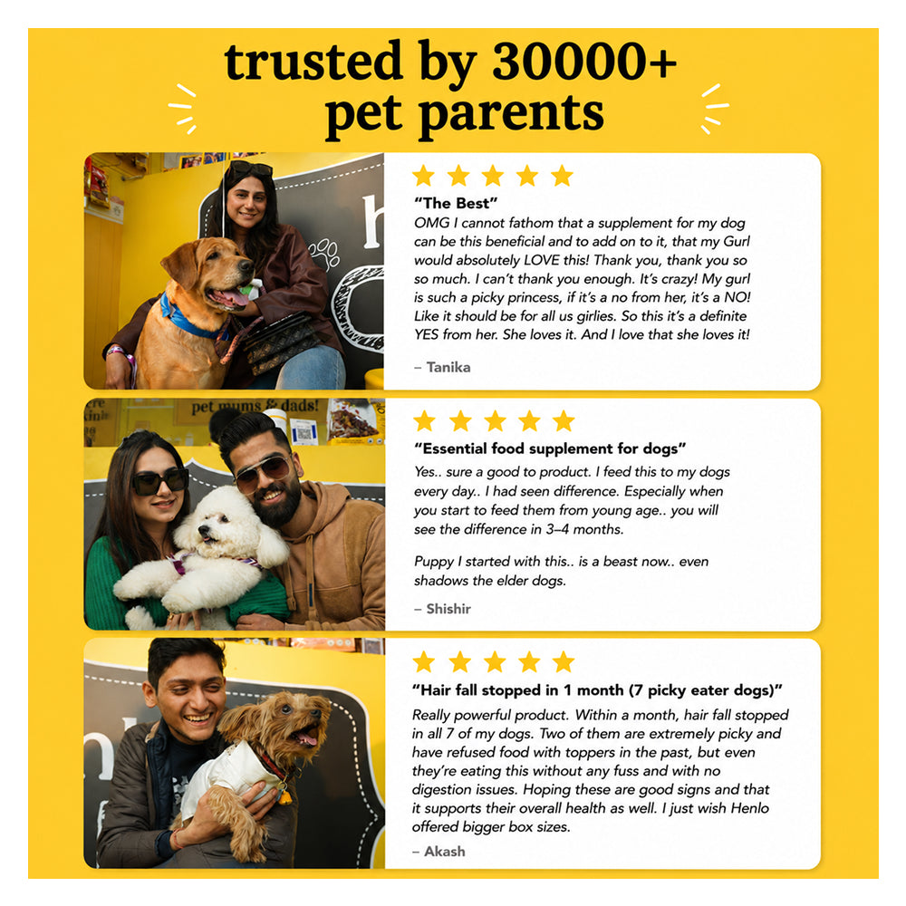 Henlo Everyday Topper for Home Cooked Food | Pre & Probiotic supplements for dogs Dogs- Dry Food Henlo