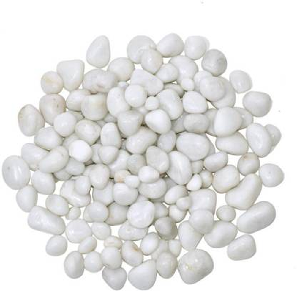 Splashy Fin Polished White Pebbles for Aquarium Fish Splashy Fin 5x1kg