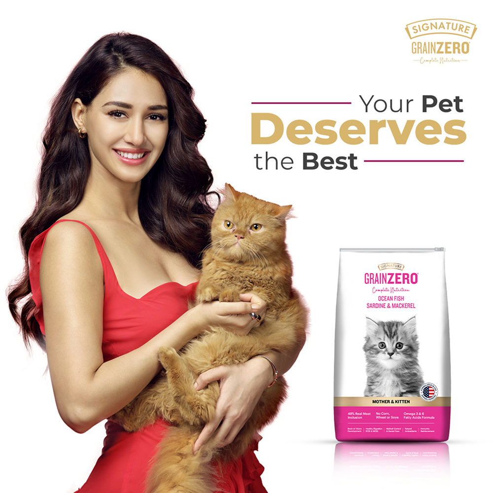 Signature Grain Zero Ocean Fish, Sardine and Mackerel Mother and Kitten Cat Dry Food Cats- Dry food Signature