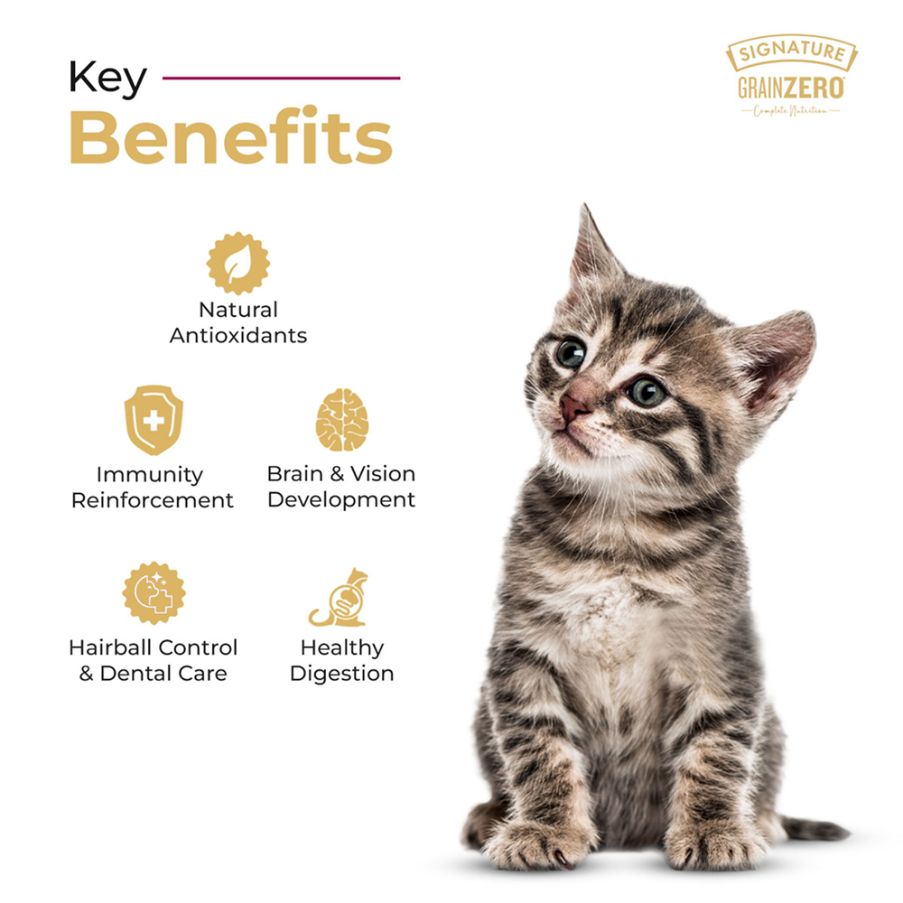 Signature Grain Zero Ocean Fish, Sardine and Mackerel Mother and Kitten Cat Dry Food Cats- Dry food Signature