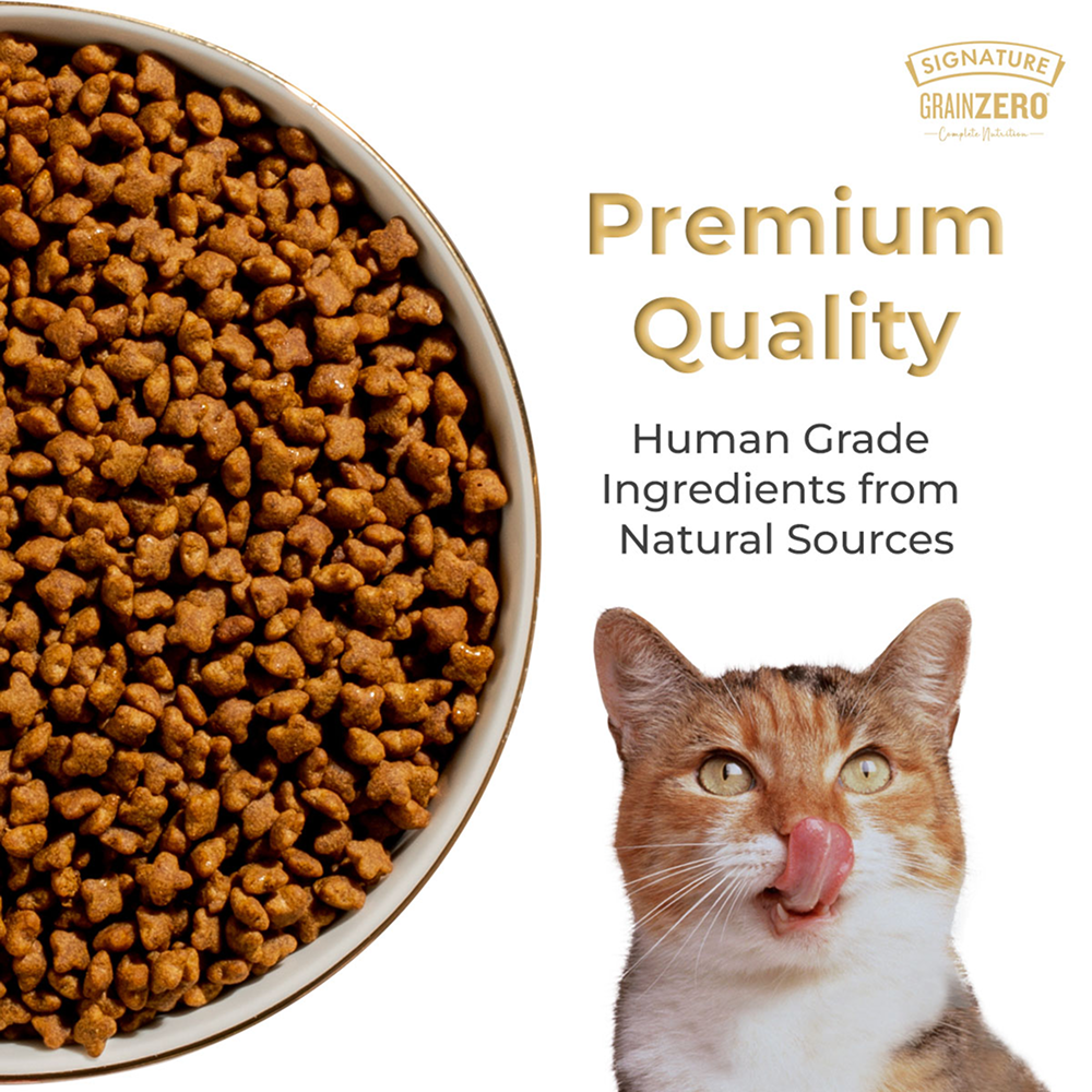 Signature Grain Zero Ocean Fish, Sardine and Mackerel Mother and Kitten Cat Dry Food Cats- Dry food Signature