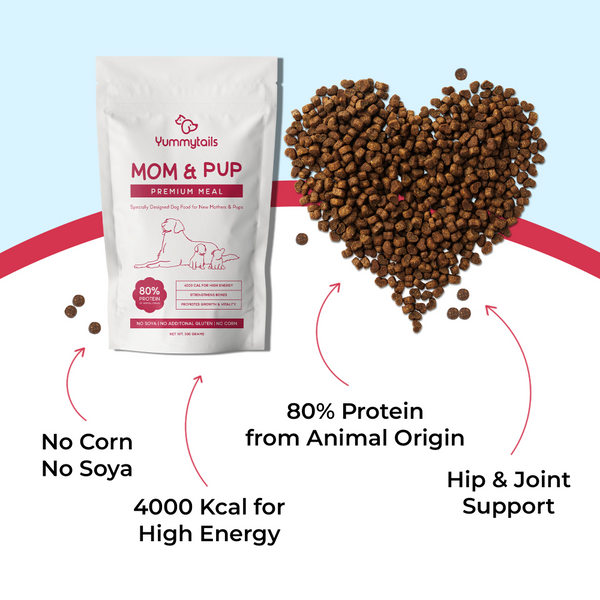 Yummytails Super Premium Mother and Puppy Dry Food | Chicken & Fish Flavor | Corn and Soya Free Formula