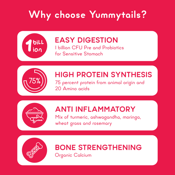 Yummytails Chicken and Fish Premium Adult Medium and Large Dog Dry Food