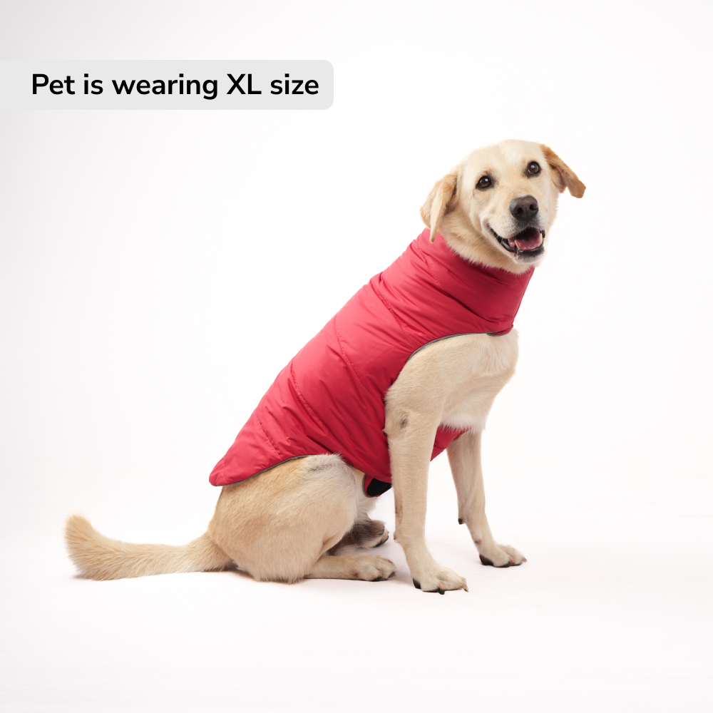 Skatrs Cherry Snuggle Puffer Reversible Jacket for Dogs and Cats Both-Clothing & Accessories Skatrs