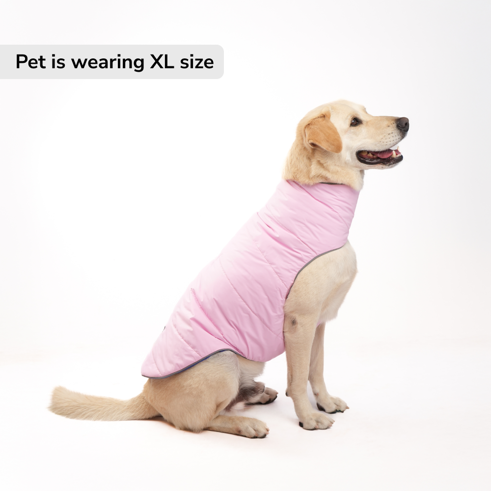 Skatrs Cotton Candy Cuddles Puffer Reversible Jacket for Dogs and Cats Both-Clothing & Accessories Skatrs