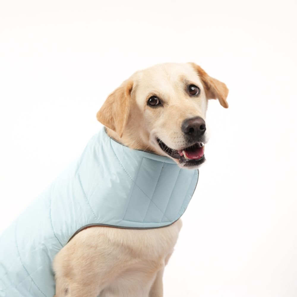 Skatrs Firefly Fuzz Puffer Reversible Jacket for Dogs and Cats Both-Clothing & Accessories Skatrs