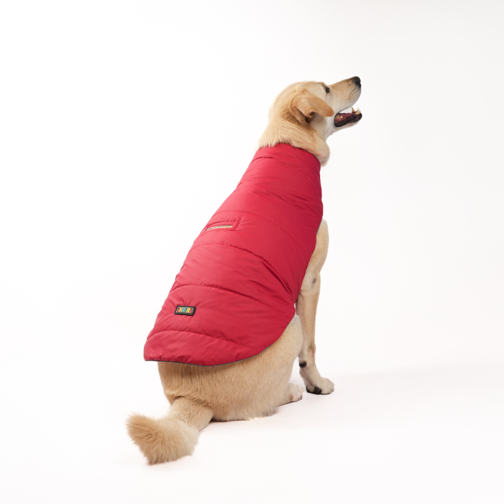 Skatrs Cherry Snuggle Puffer Reversible Jacket for Dogs and Cats Both-Clothing & Accessories Skatrs S: 23-26 in Chest