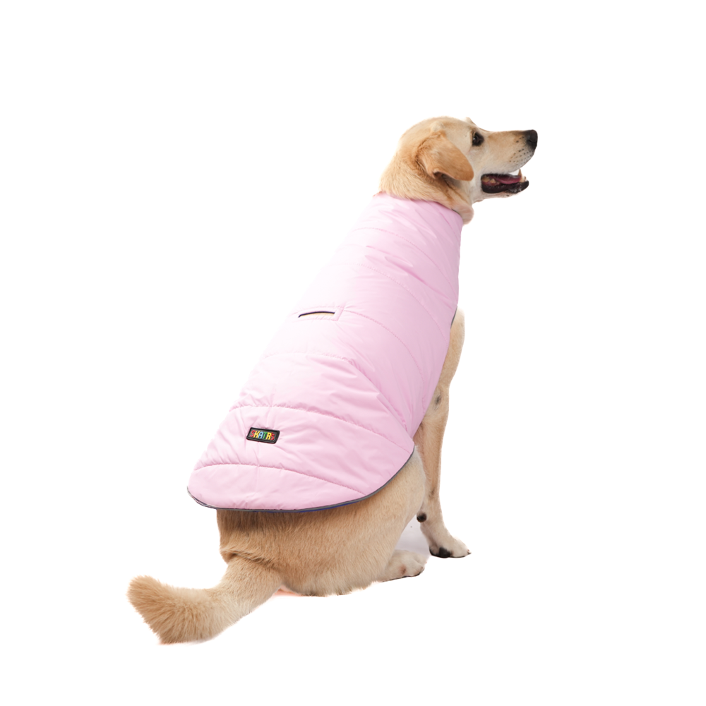Skatrs Cotton Candy Cuddles Puffer Reversible Jacket for Dogs and Cats Both-Clothing & Accessories Skatrs