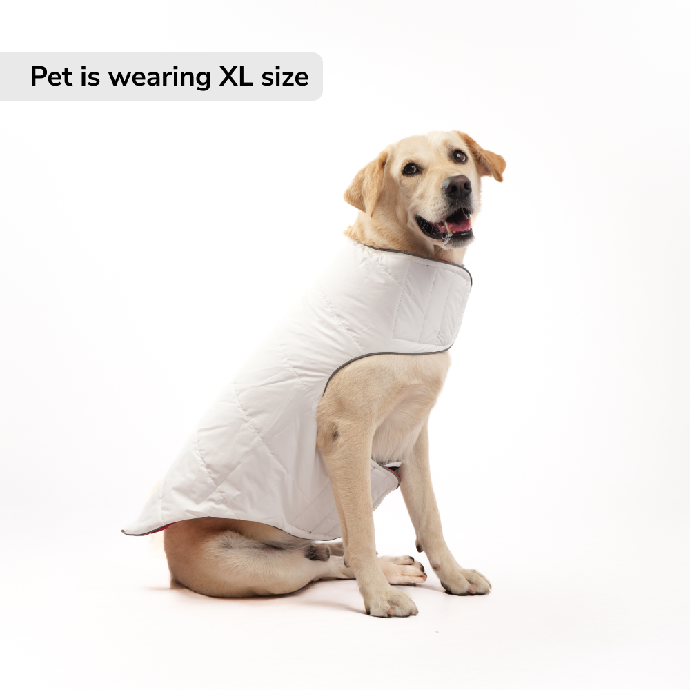 Skatrs Cherry Snuggle Puffer Reversible Jacket for Dogs and Cats Both-Clothing & Accessories Skatrs