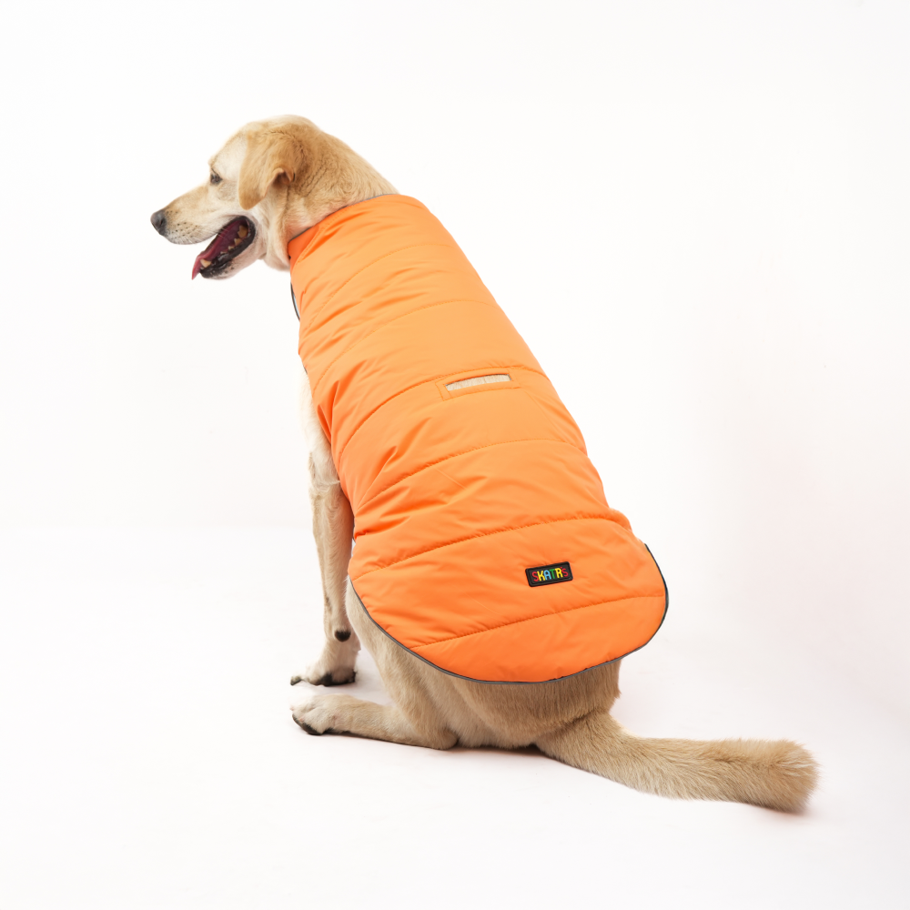 Skatrs Firefly Fuzz Puffer Reversible Jacket for Dogs and Cats Both-Clothing & Accessories Skatrs