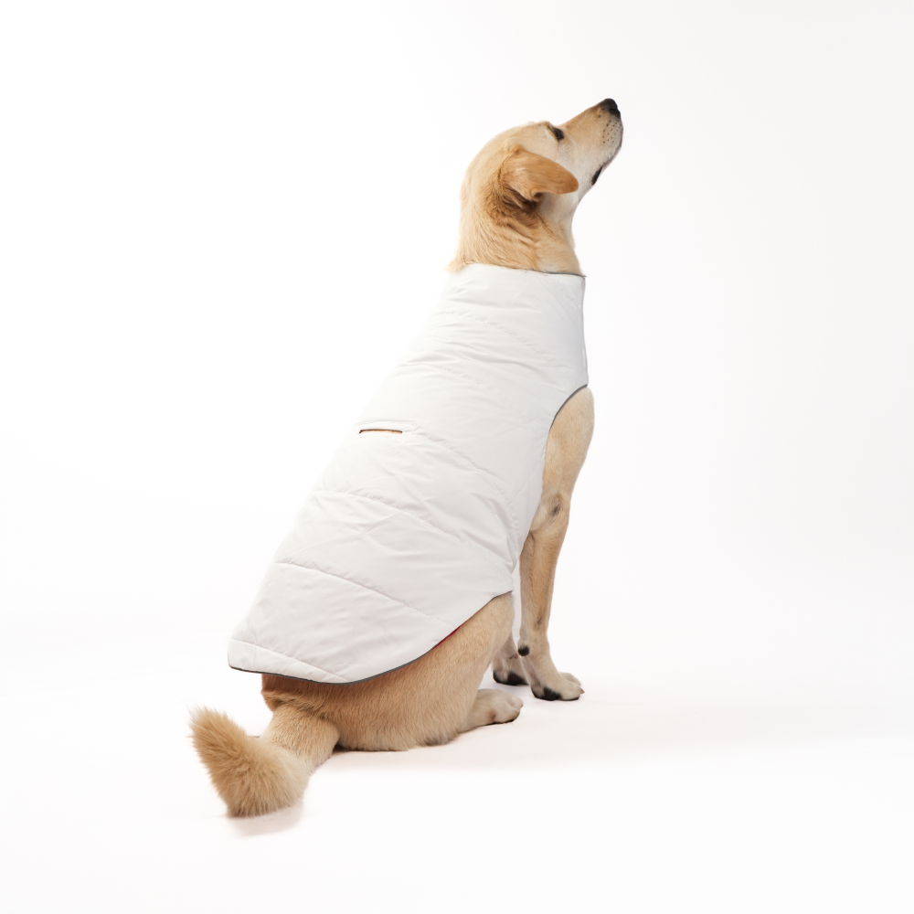 Skatrs Cherry Snuggle Puffer Reversible Jacket for Dogs and Cats Both-Clothing & Accessories Skatrs