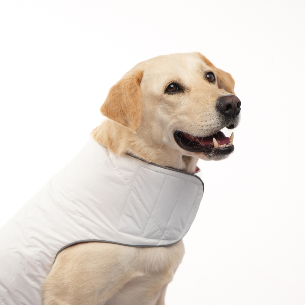 Skatrs Cherry Snuggle Puffer Reversible Jacket for Dogs and Cats Both-Clothing & Accessories Skatrs