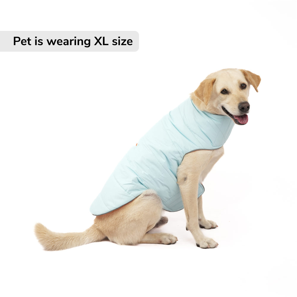 Skatrs Firefly Fuzz Puffer Reversible Jacket for Dogs and Cats Both-Clothing & Accessories Skatrs