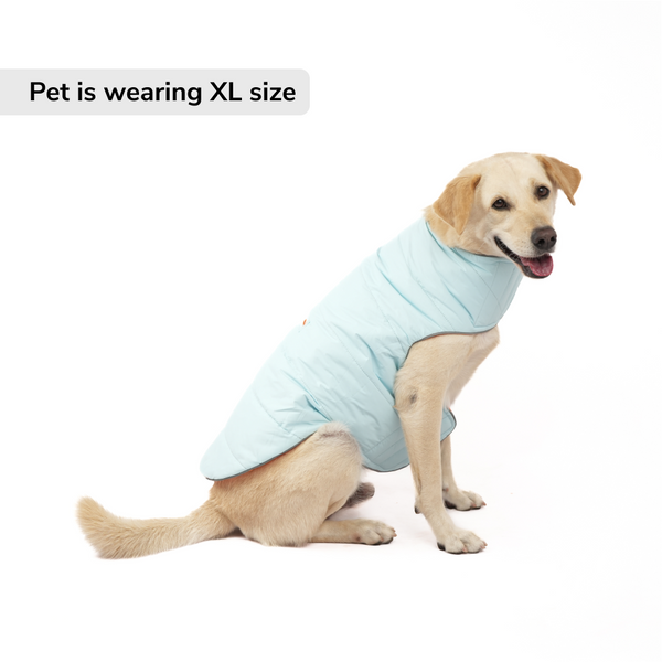 Skatrs Firefly Fuzz Puffer Reversible Jacket for Dogs and Cats