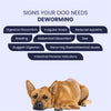 FurBall Story Worm No More Deworming Tablet for Dogs and Cats Both-Health & Wellness Furball Story
