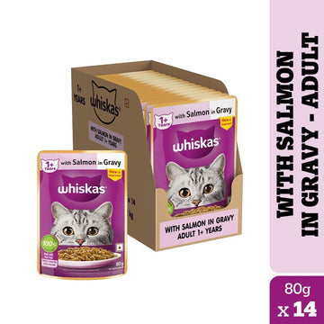 Whiskas Mackerel Flavour and Salmon in Gravy Meal Adult Cat Dry and Wet Food Combo