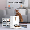 Petkit YumShare Dual Hopper Automatic 2.4G WiFi Food Dispenser with HD Camera for Dogs and Cats Both-Bowls & Feeders Petkit Dropship