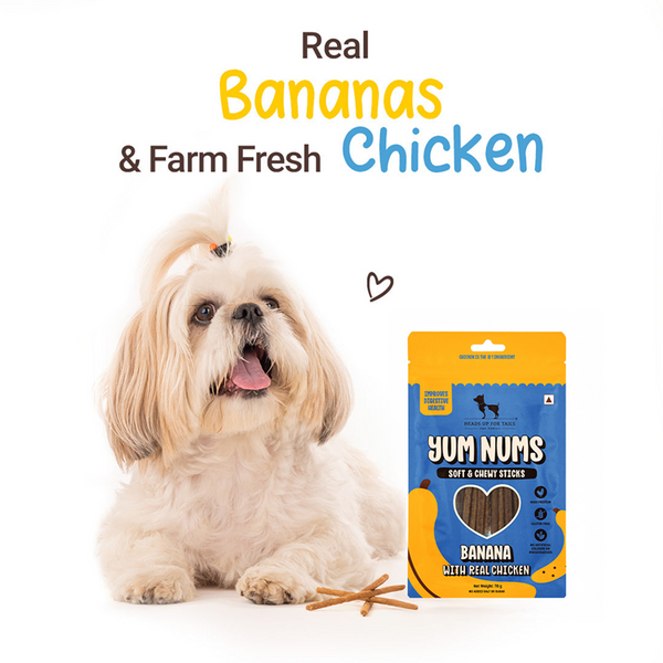 HUFT Yum Nums Banana with Real Chicken Soft & Chewy Sticks Dog Treats