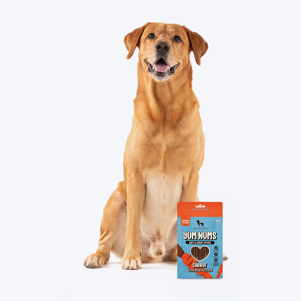 HUFT Yum Nums Grain Free Carrot with Real Chicken Soft & Chewy Sticks Dog Treats