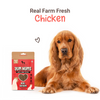 HUFT Yum Nums Real Chicken Soft & Chewy Sticks Dog Treats Dog Treats + Others Heads Up for Tails