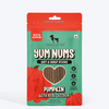 HUFT Yum Nums Pumpkin with Real Chicken Soft and Chewy Grain Free Sticks Treat for Dogs Dog Treats + Others Heads Up for Tails