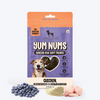 HUFT Yum Nums Grain Free Chicken, Blueberries & Ashwagandha Soft & Chewy Sticks Senior Dog Treats Dog Treats + Others Heads Up for Tails 70g